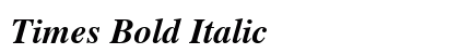 Times Bold Italic Preview