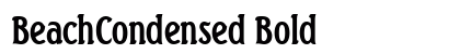 BeachCondensed Bold preview