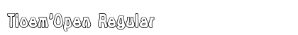 Tioem-Open Regular preview