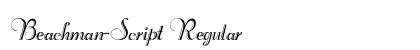 Beachman-Script Regular preview