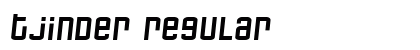 Tjinder Regular preview