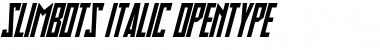 Slimbots Italic Font