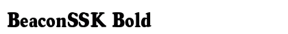 BeaconSSK Bold preview