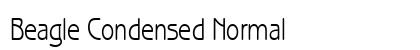 Beagle Condensed Normal preview