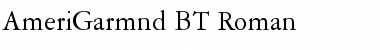 AmeriGarmnd BT Roman Font