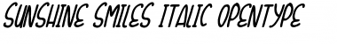 Sunshine Smiles Italic Font