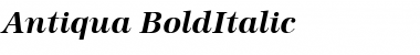 Antiqua BoldItalic Font