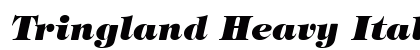 Tringland Heavy Italic preview