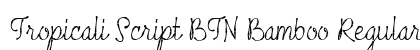 Tropicali Script BTN Bamboo Regular preview