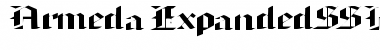 ArmedaExpandedSSK Regular Font