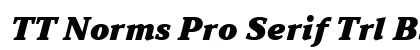 TT Norms Pro Serif Trl Blc It Preview