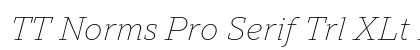 TT Norms Pro Serif Trl XLt It Preview