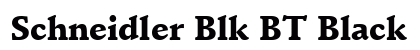 Schneidler Blk BT Black Preview