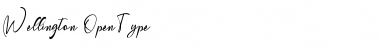 Wellington Regular Font