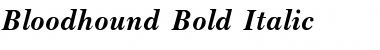 Download Bloodhound Bold Italic Font