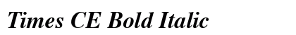 Times CE Bold Italic Preview