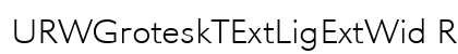 URWGroteskTExtLigExtWid Regular preview