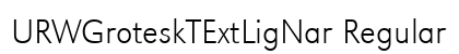 URWGroteskTExtLigNar Regular preview