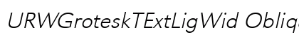 URWGroteskTExtLigWid Oblique Preview