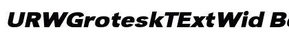 URWGroteskTExtWid Bold Oblique Preview