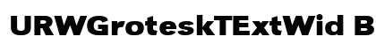 URWGroteskTExtWid Bold preview