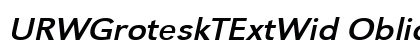 URWGroteskTExtWid Oblique Preview