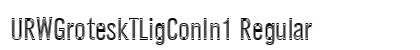 URWGroteskTLigConIn1 Regular preview