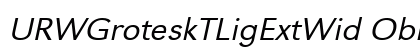 URWGroteskTLigExtWid Oblique Preview