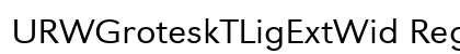 URWGroteskTLigExtWid Regular preview
