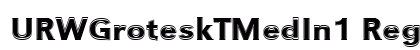 URWGroteskTMedIn1 Regular