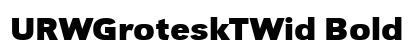 URWGroteskTWid Bold preview