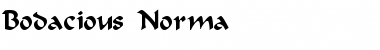 Bodacious-Norma Regular Font