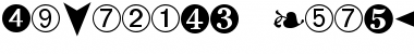 Dingbats Regular Font