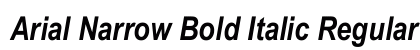 Arial Narrow Bold Italic Regular preview