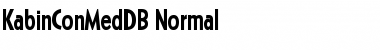 KabinConMedDB Normal Font