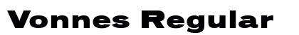 Vonnes Regular preview