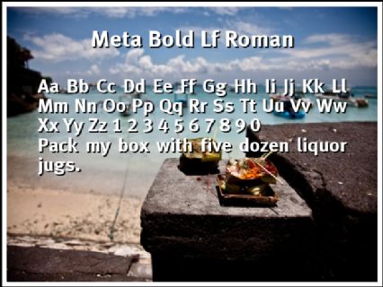 meta bold roman font download