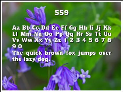 559 Font Preview