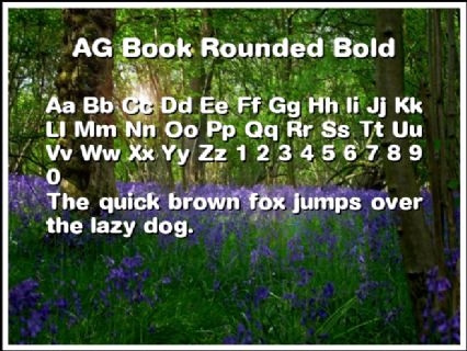 AG Book Rounded Bold Font