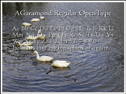 AGaramond Regular OpenType Font Preview