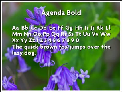 Agenda Bold Font Preview