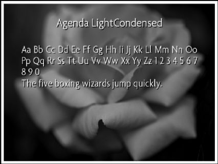 Agenda LightCondensed Font Preview
