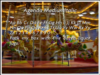 Agenda MediumItalic Font