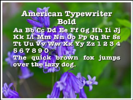american typewriter font free download