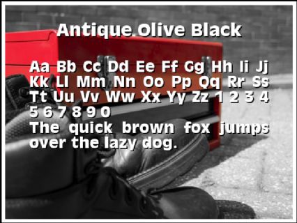 Antique Olive Black Font Preview