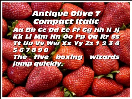 Antique Olive T Compact Italic Font
