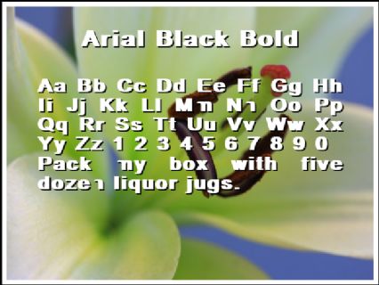 Arial Black Bold Font