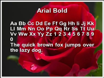 Arial Bold Font Preview