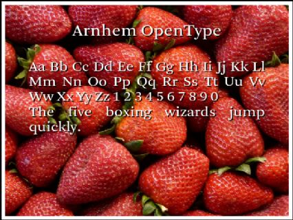 Arnhem OpenType Font Preview