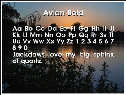 Avian Bold Font Preview